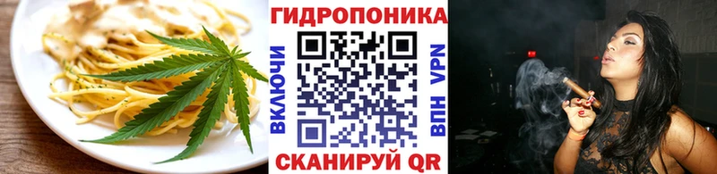 Купить закладки  Шахты  Печенье с ТГК марихуана