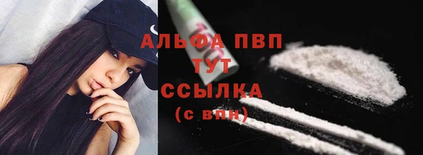 ГАЛЛЮЦИНОГЕННЫЕ ГРИБЫ Покровск