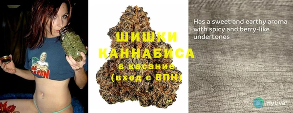 ГАЛЛЮЦИНОГЕННЫЕ ГРИБЫ Покровск